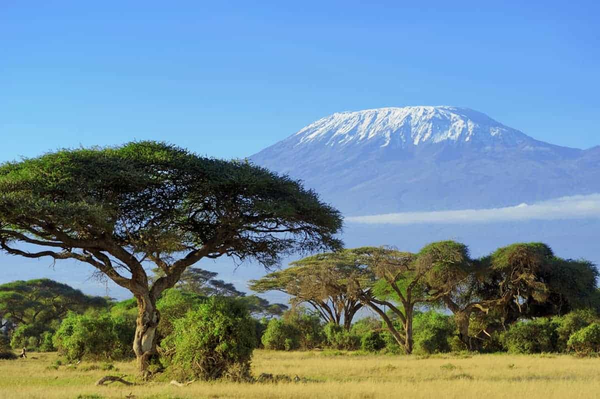 Der Berg Kilimanjaro erhebt sich majestätisch aus der Savanne
