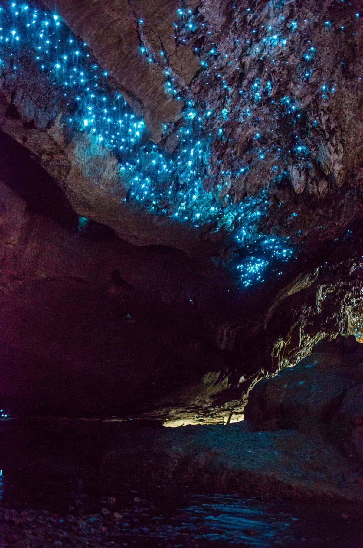 Biolumineszente Würmer hängen von der Decke einer Höhle in Neuseeland