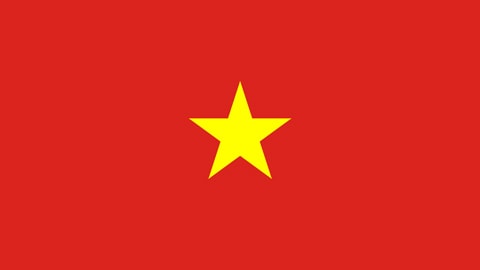 Die Vietnamesische Flagge