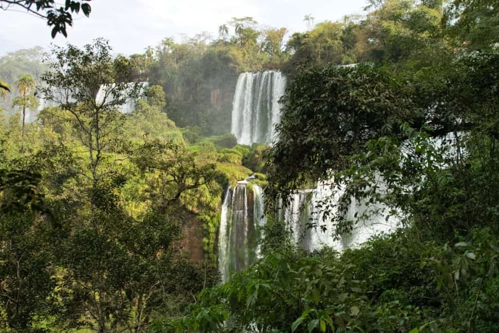 Blick auf die Iguazú-Wasserfälle durch den Dschungel